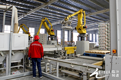 视觉临汾 襄汾建材企业开足马力，全力冲刺首季“开门红”